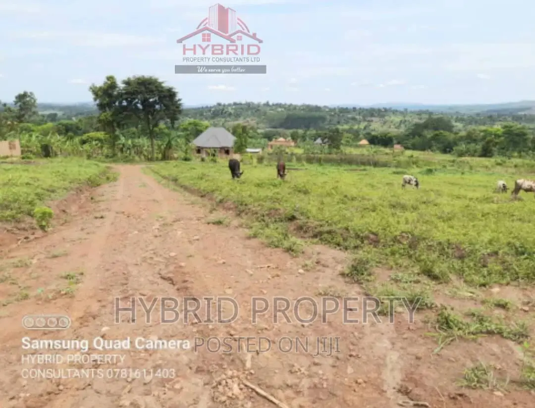 Prime Plots for Sale at Gobero Muguluka II Estate~Hoima Rd.