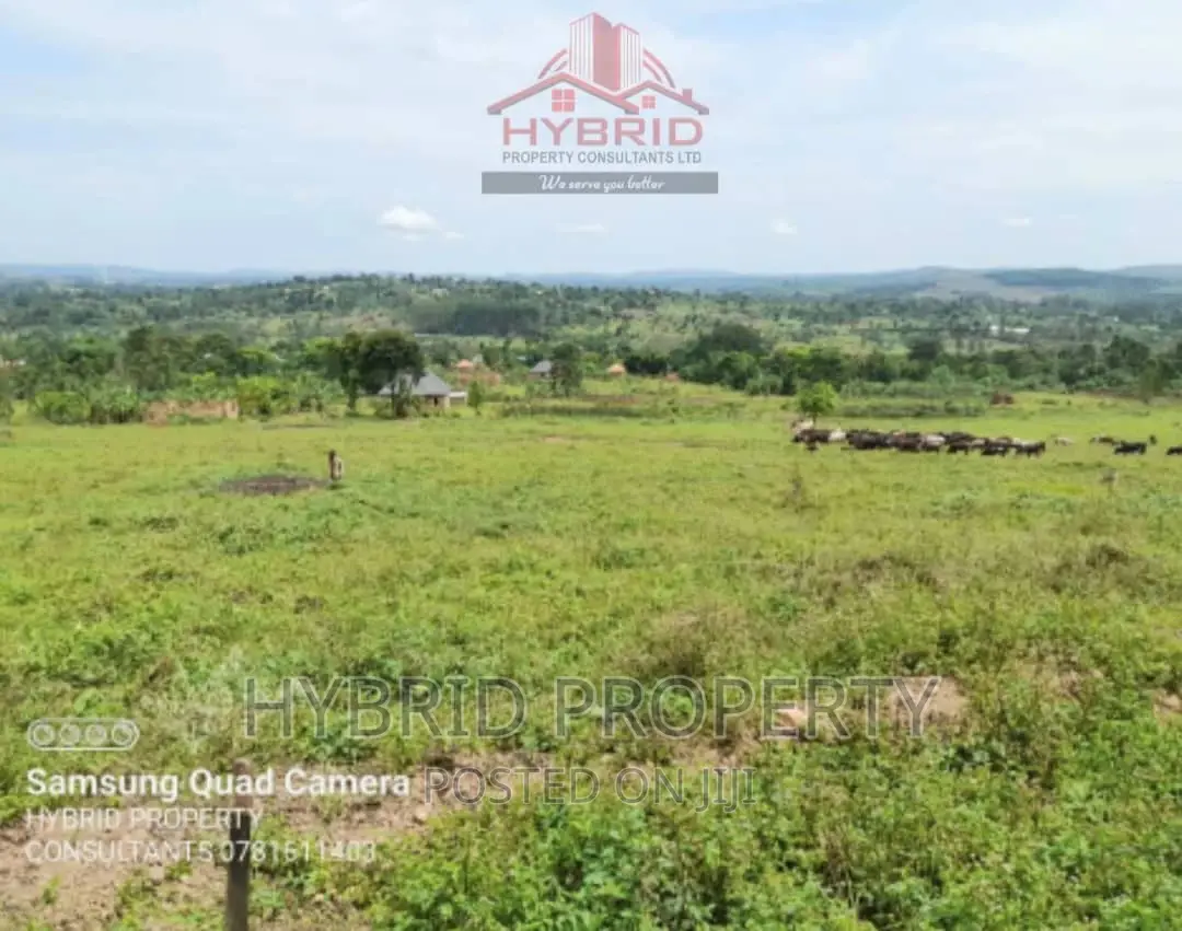 Prime Plots for Sale at Gobero Muguluka II Estate~Hoima Rd.