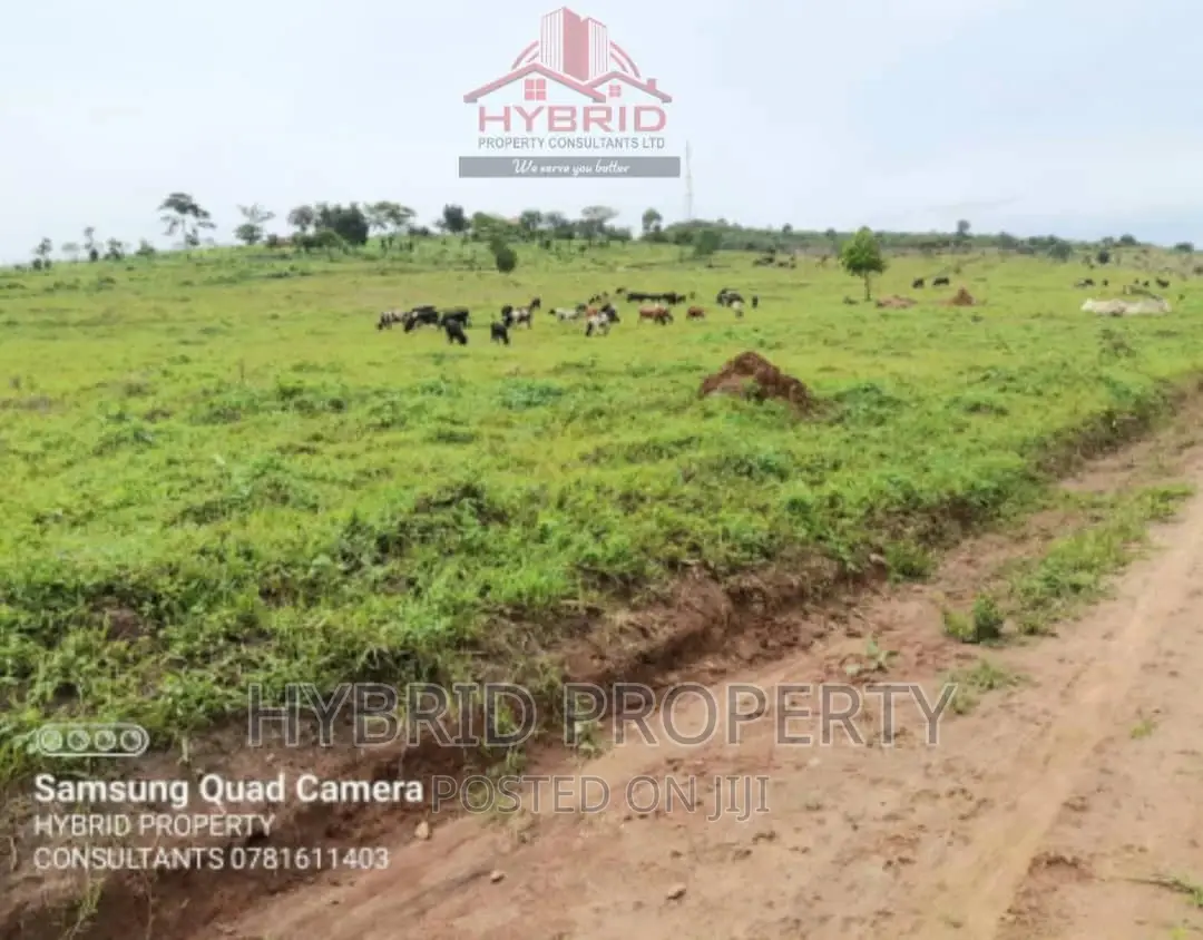 Prime Plots for Sale at Gobero Muguluka II Estate~Hoima Rd.