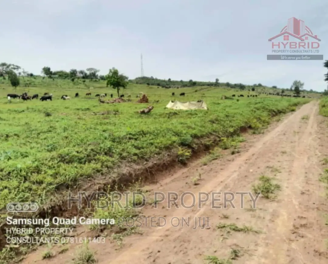 Prime Plots for Sale at Gobero Muguluka II Estate~Hoima Rd.