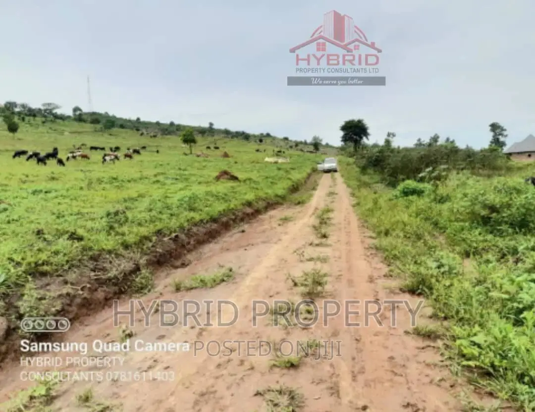 Prime Plots for Sale at Gobero Muguluka II Estate~Hoima Rd.