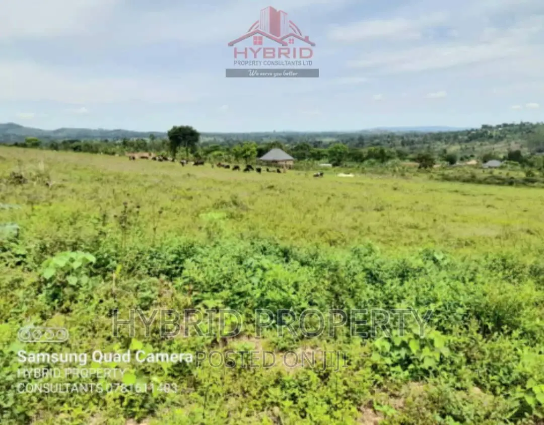 Prime Plots for Sale at Gobero Muguluka II Estate~Hoima Rd.
