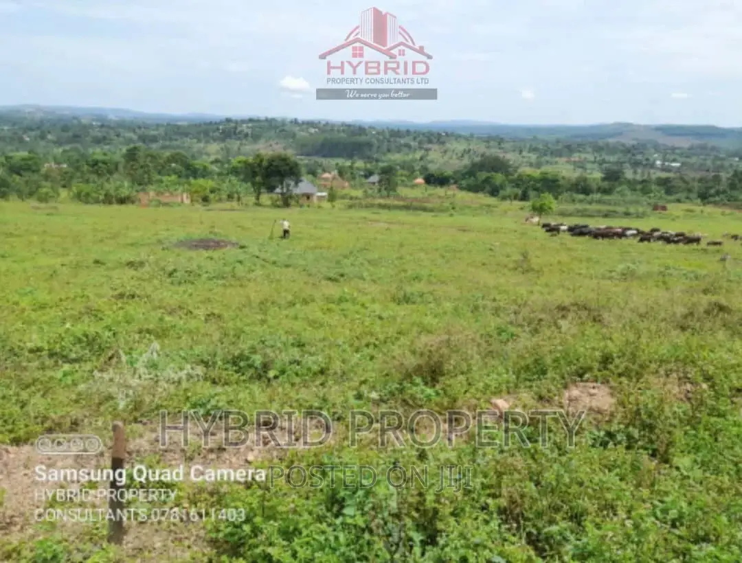 Prime Plots for Sale at Gobero Muguluka II Estate~Hoima Rd.