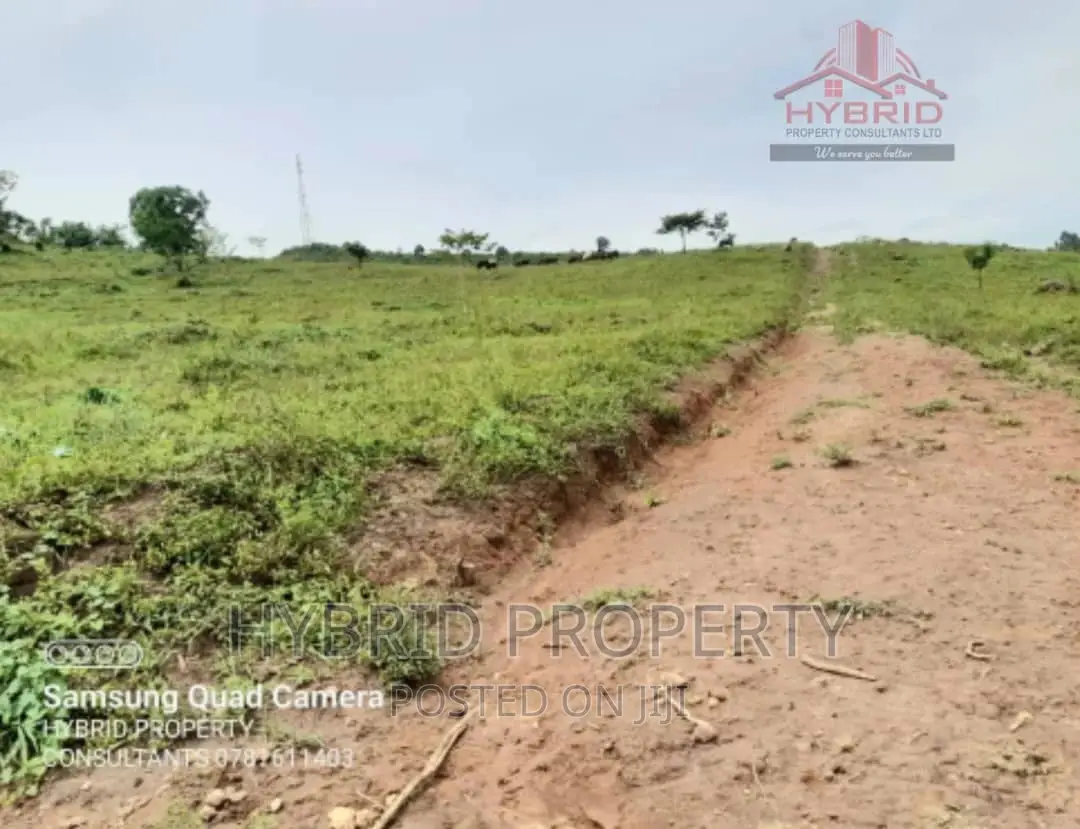 Prime Plots for Sale at Gobero Muguluka II Estate~Hoima Rd.