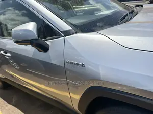 Toyota RAV4 Adventure 2019 Silver