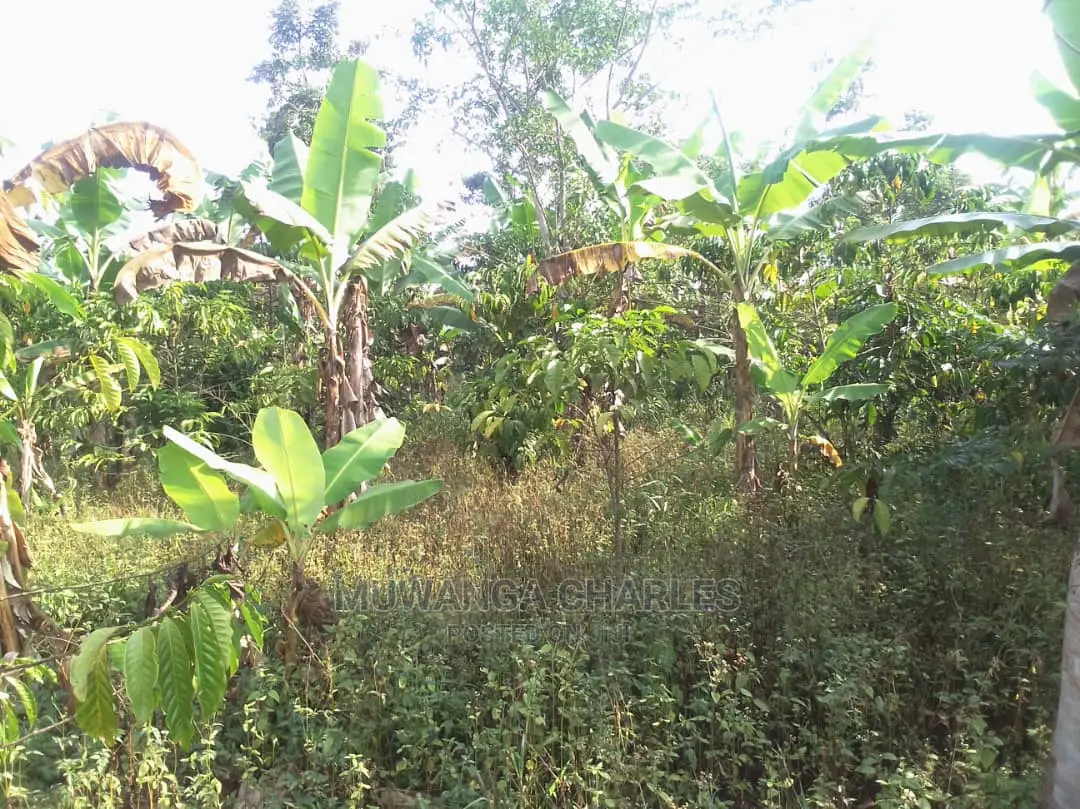 Land for Sale at Luwero