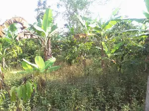 Land for Sale at Luwero