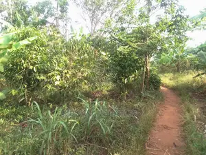 Land for Sale at Luwero