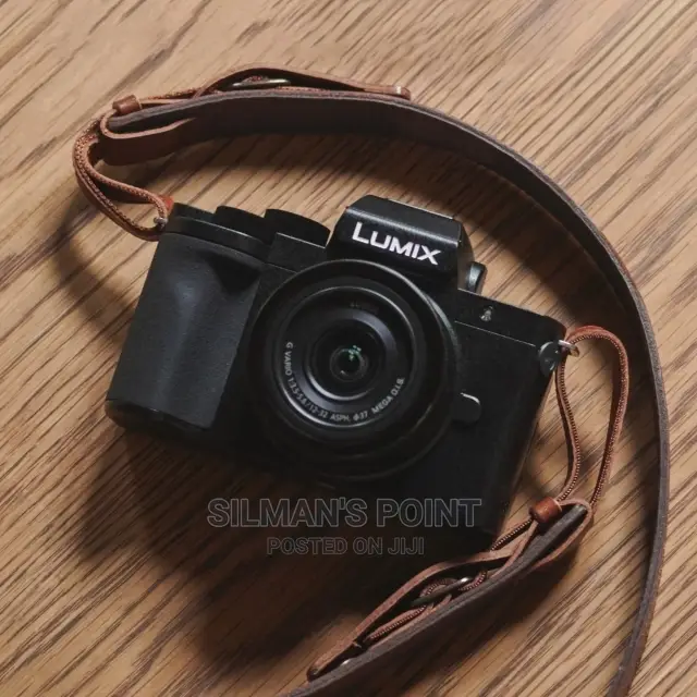 Lumix Dc-G100v Camera