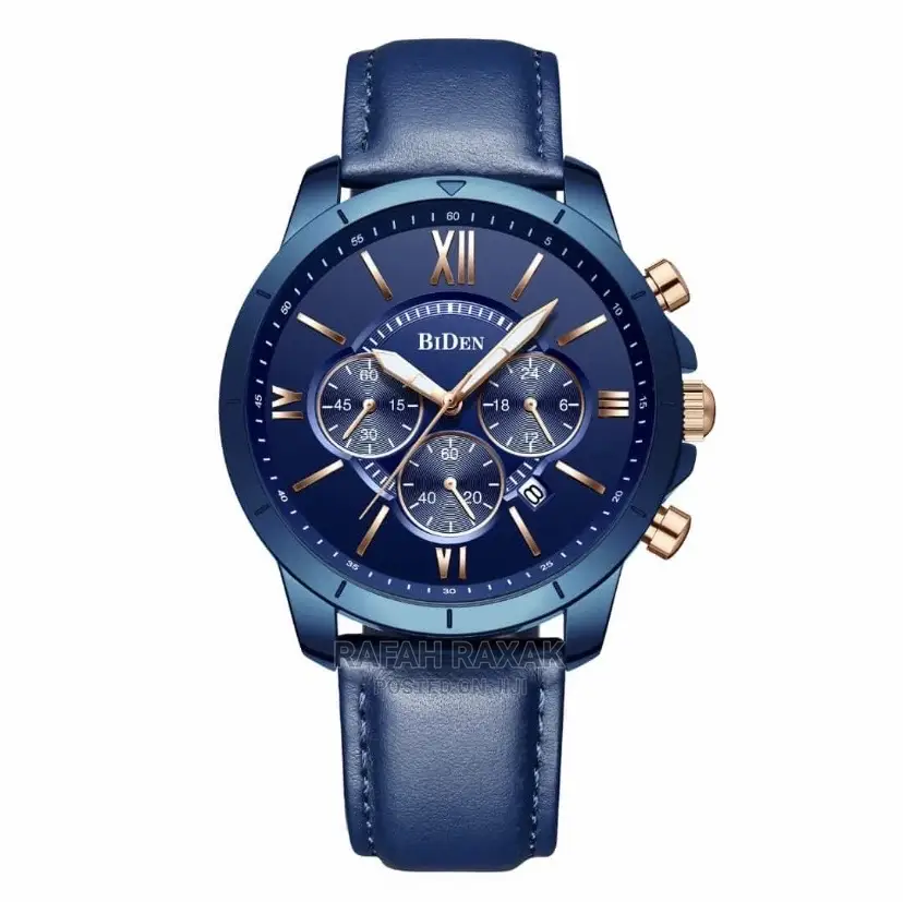 Original Biden Watch