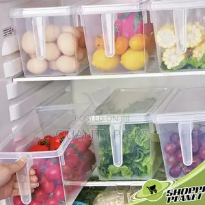 Fridge Container