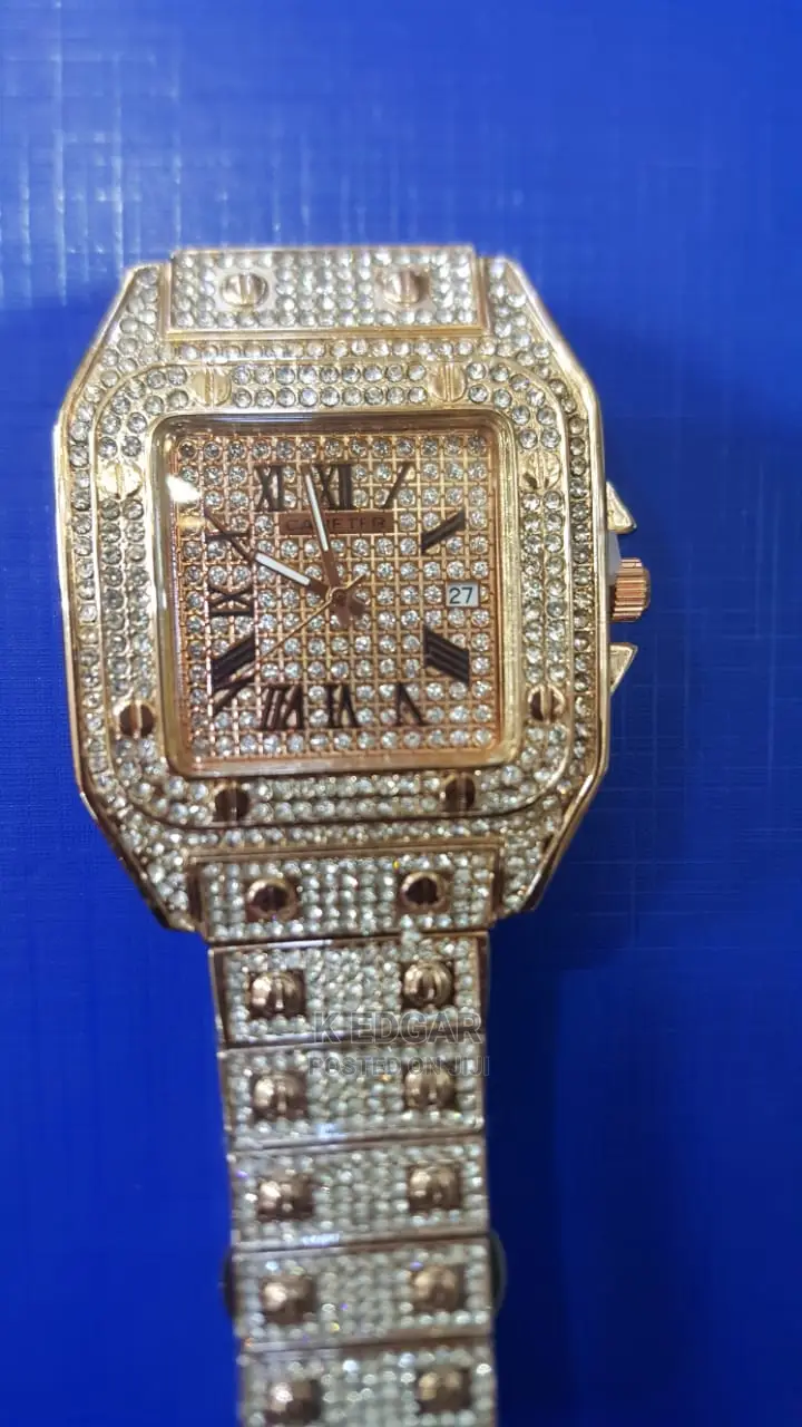Cartier Ice Watch