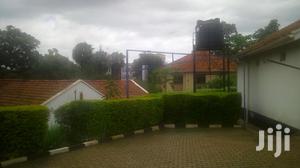 Three Bedroom House For Rent