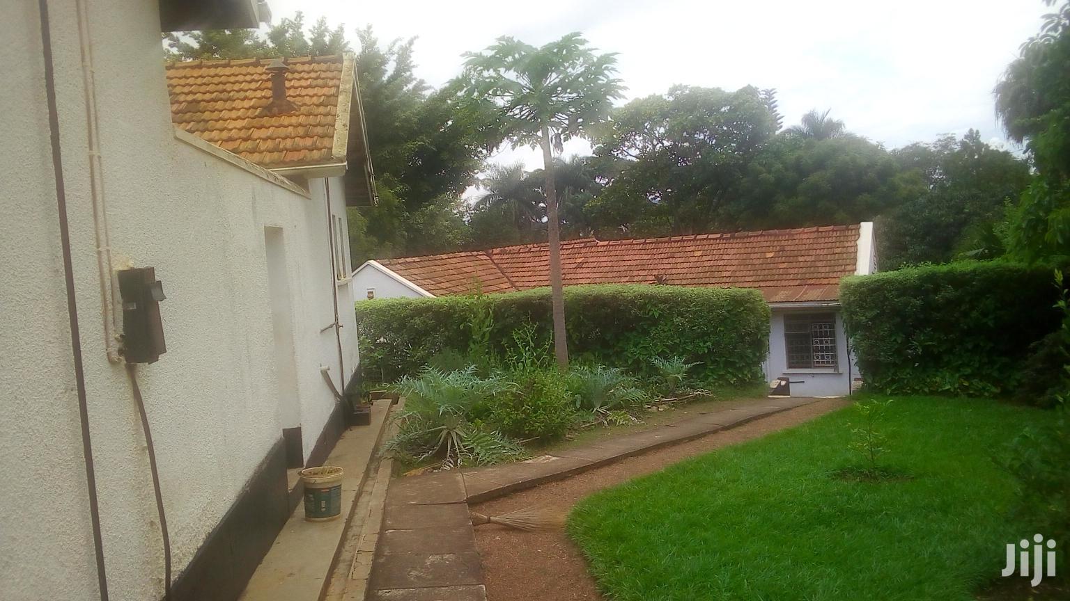 Three Bedroom House For Rent