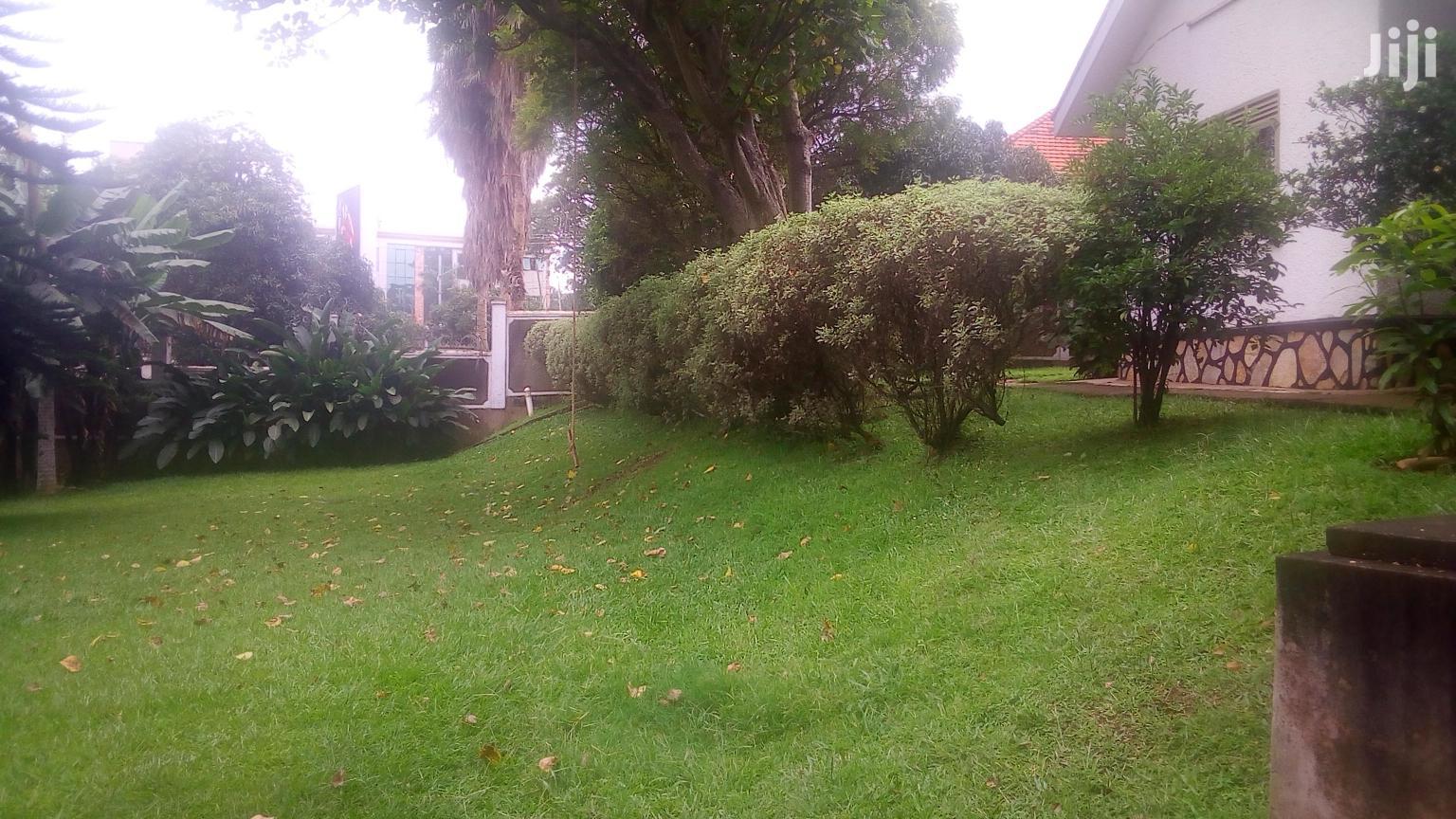 Three Bedroom House For Rent