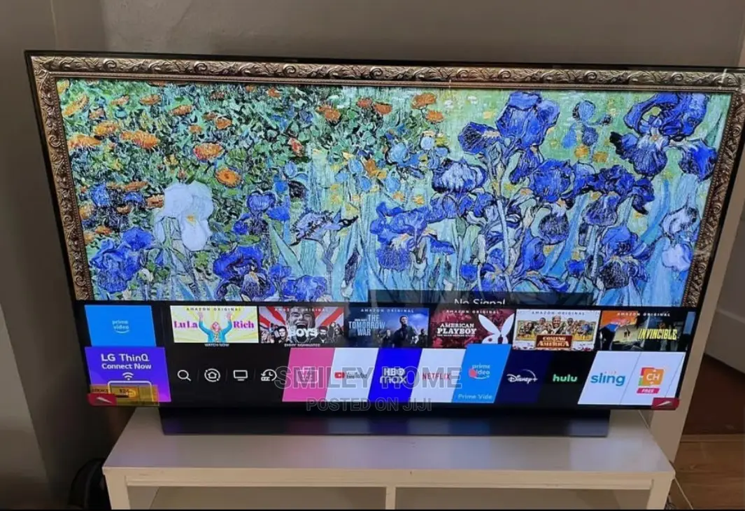 LG OLED 55inches Tv