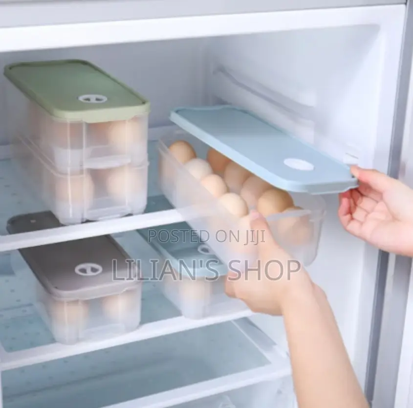 Refrigerator Egg Storage Container With Lid Plastic