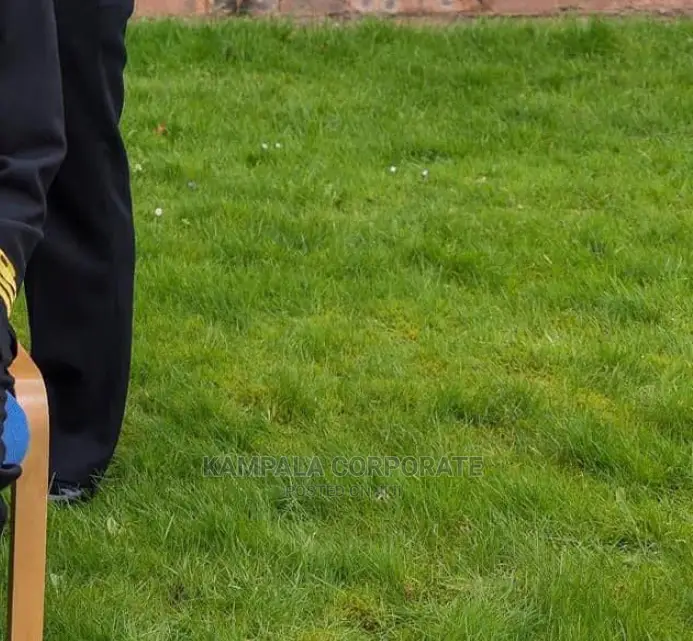 Compound Grass Offer Free Planting