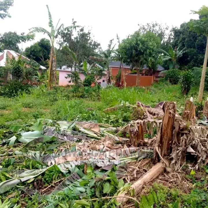 40by90ft Plot for Sale at Wakiso Kasengeje