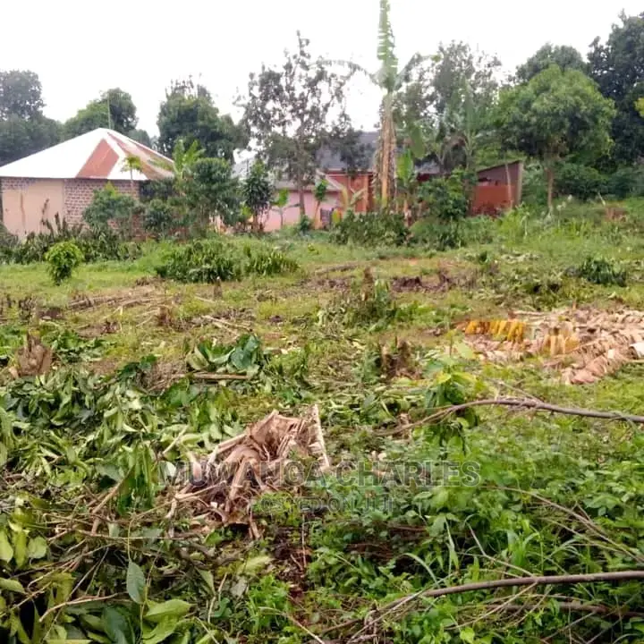 40by90ft Plot for Sale at Wakiso Kasengeje