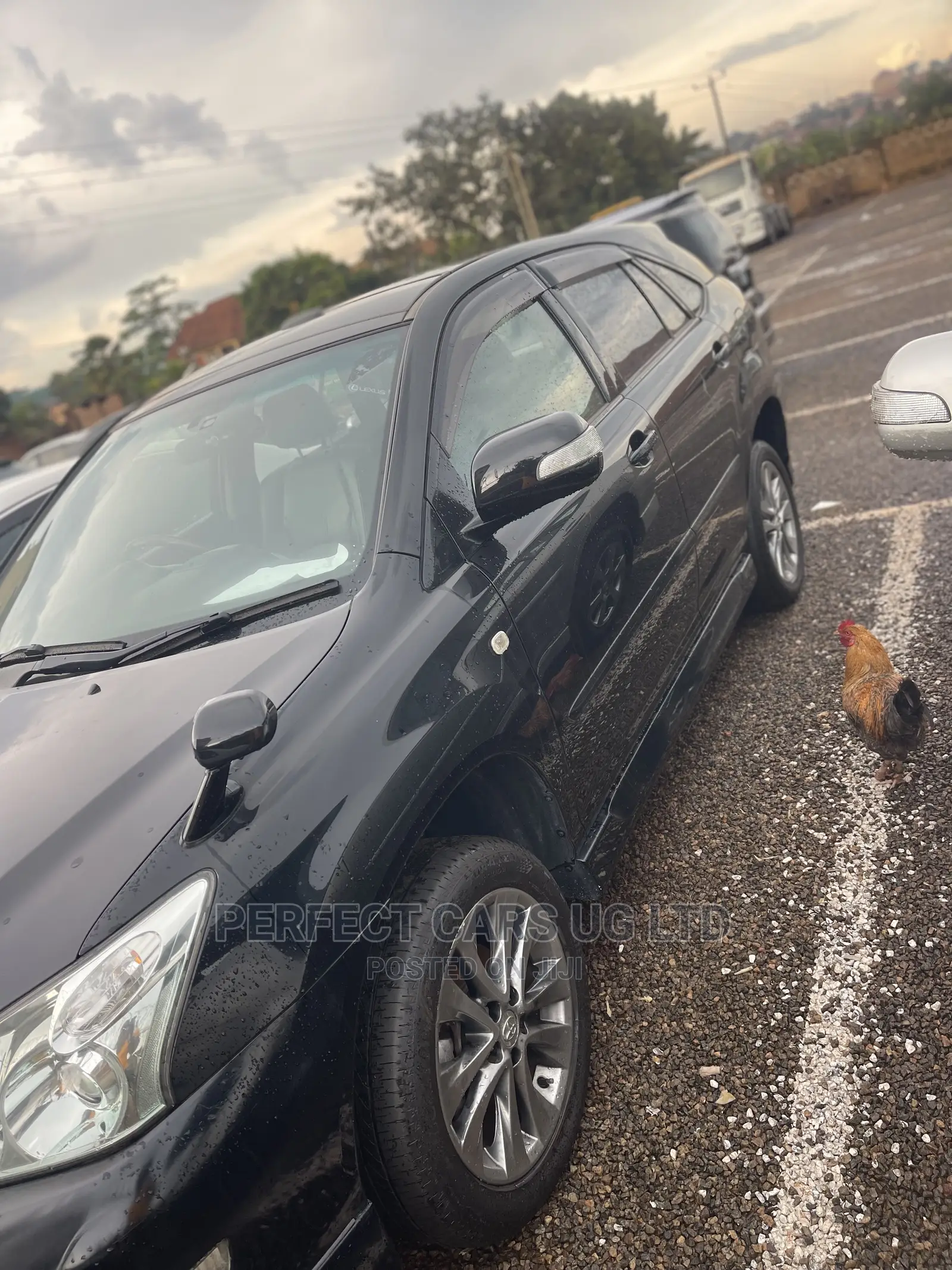 Toyota Harrier 2.4 2010 Matt Black