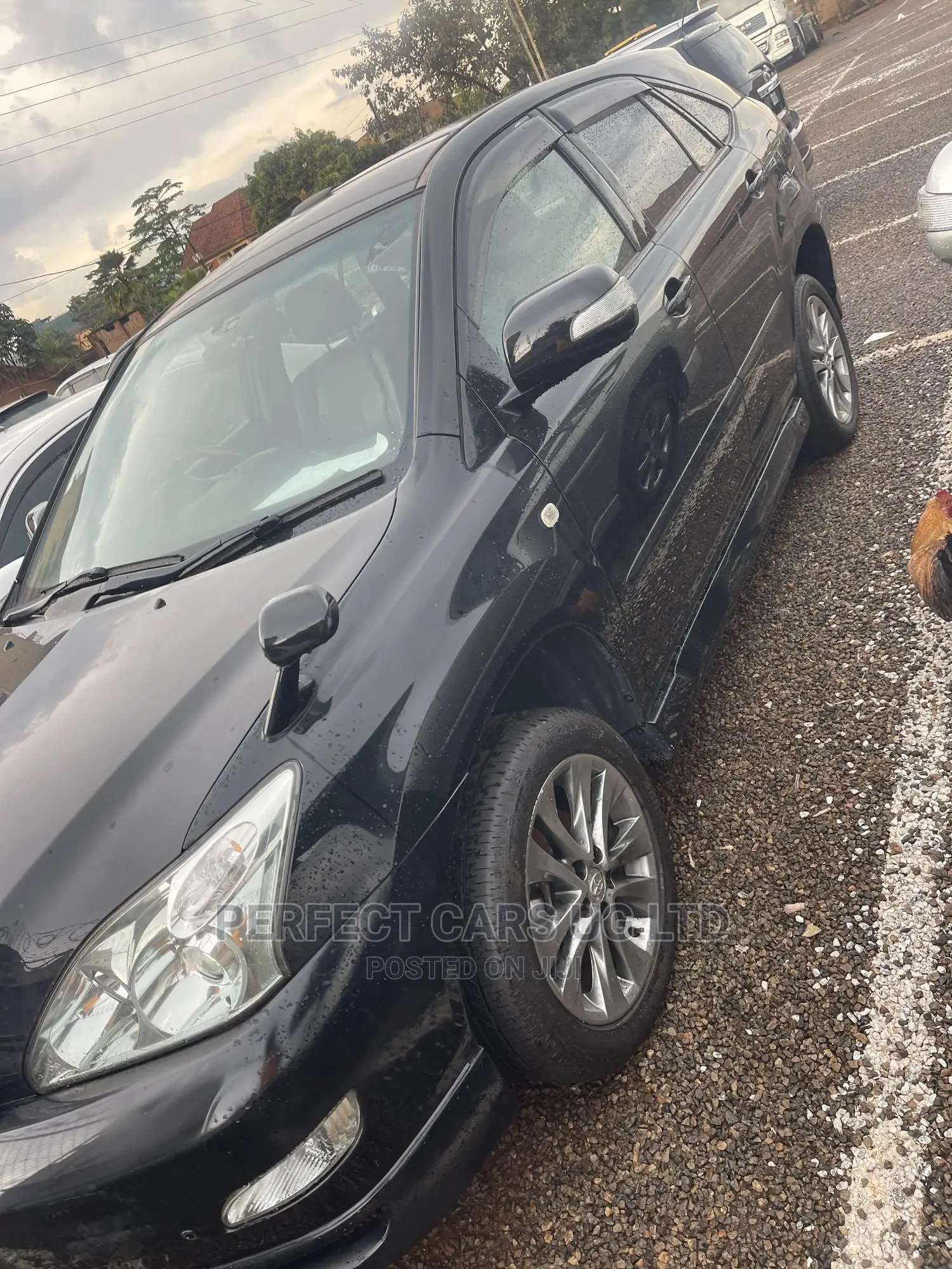 Toyota Harrier 2.4 2010 Matt Black