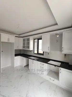Kitchen Cabinets Interiors