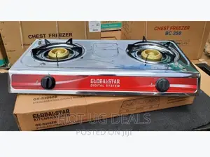 Globalstar Double Stainless Gas Stove Cooker - Silver