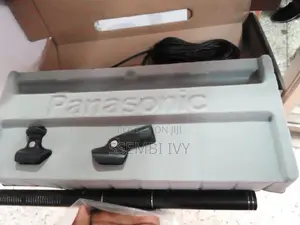 Panasonic Camera Microphone.