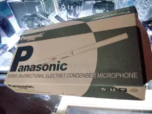 Panasonic Camera Microphone.