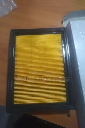 Air Filter for Juke,Sunny,Sylphyl, Almera,Civic, Infinity