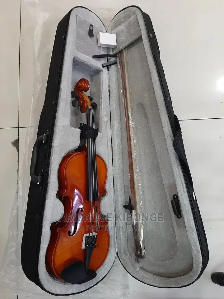 Top-Quality Generic Professional 4/4 Full Size Violin