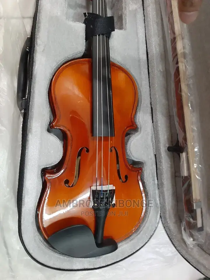 Top-Quality Generic Professional 4/4 Full Size Violin