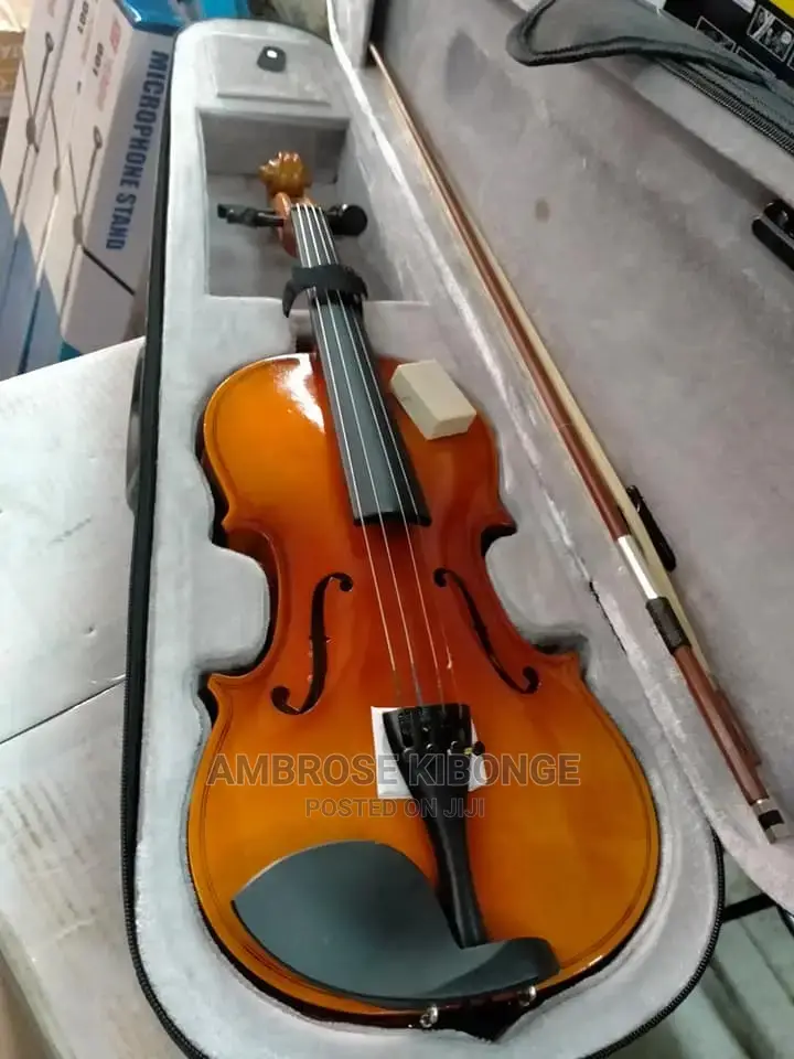 Top-Quality Generic Professional 4/4 Full Size Violin