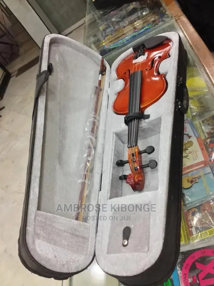 Top-Quality Generic Professional 4/4 Full Size Violin