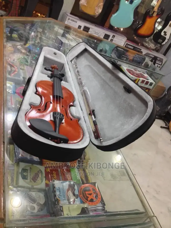 Top-Quality Generic Professional 4/4 Full Size Violin