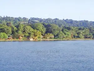 Photo - 4 Acres Touching the Lake in Kalangala Island With Land Titl