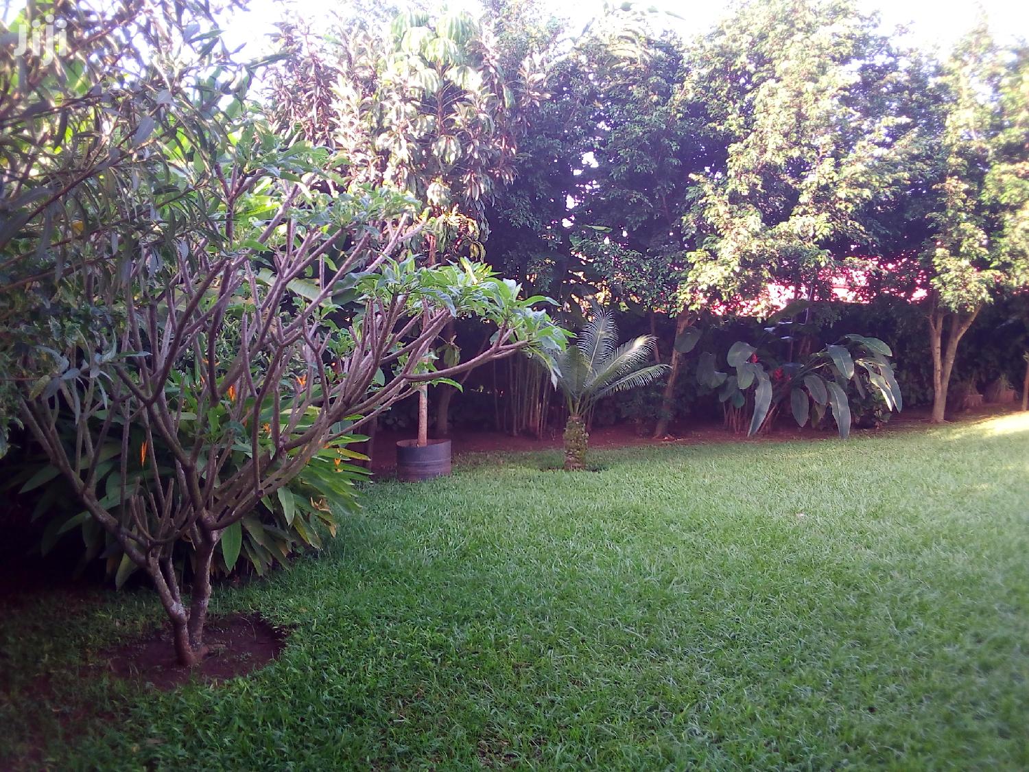 Three Bedroom House For Rent
