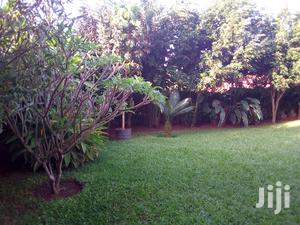 Three Bedroom House For Rent