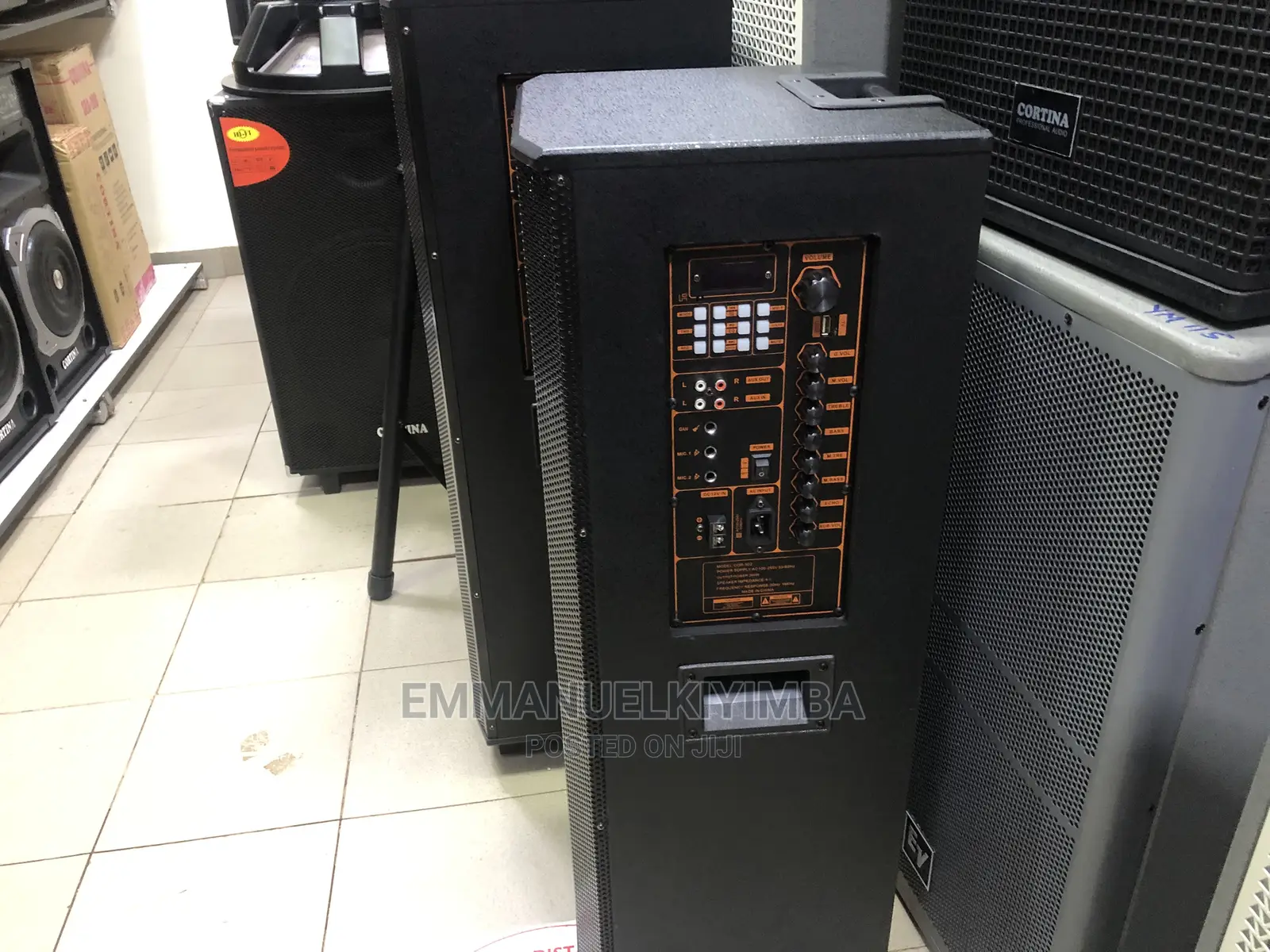 New Cotina Amplified Rechargable Speaker