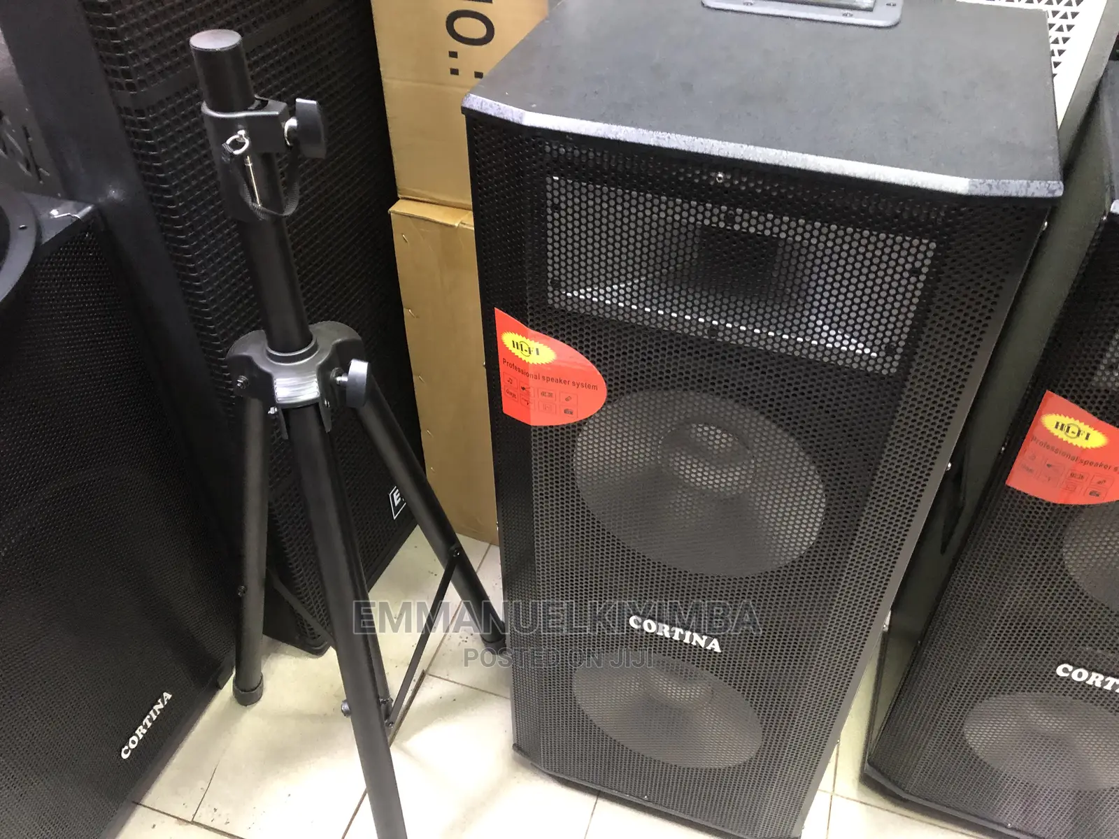 New Cotina Amplified Rechargable Speaker