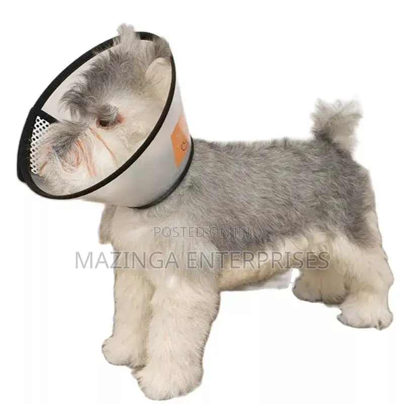 Pet Elizabethan Neck Protective Collar
