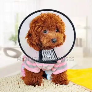 Pet Elizabethan Neck Protective Collar