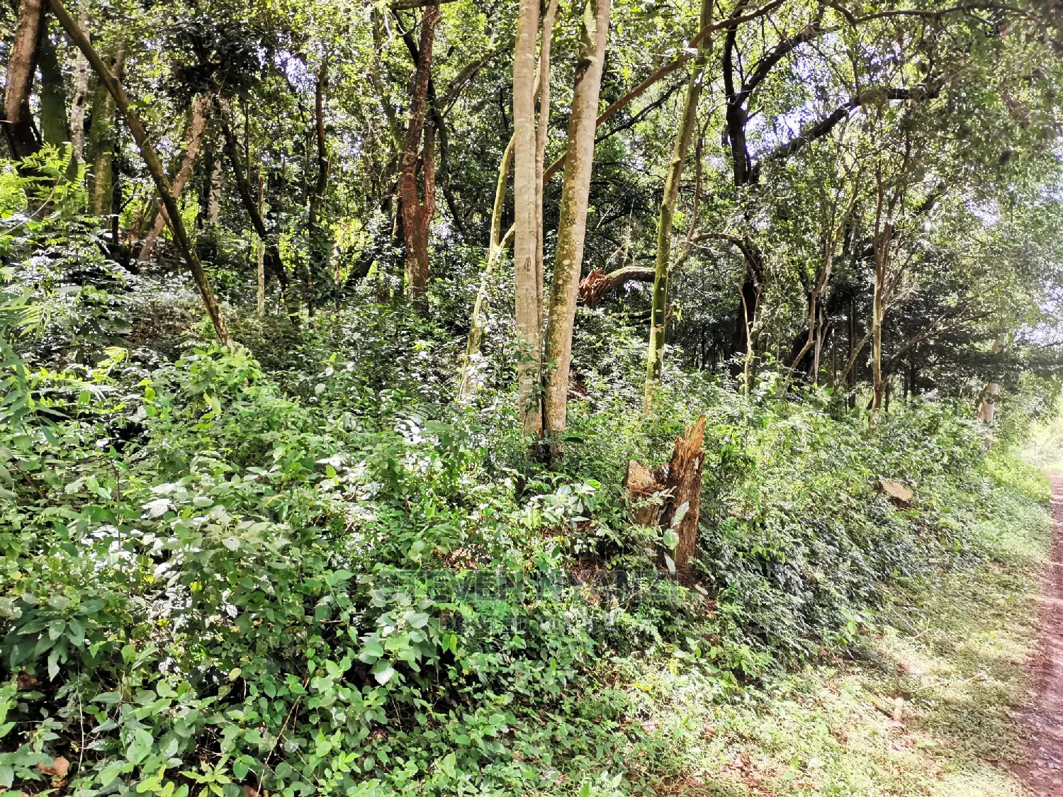 Hill Top Acre of Genuine Land With Ready Title.