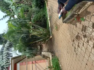 Furnished 4bdrm Bungalow in Kira, Nabweru for Sale