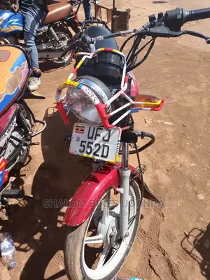Bajaj CT 110X 2022 Pink