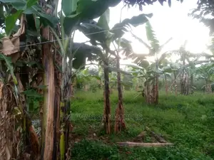 Plot for Sale at Wakiso