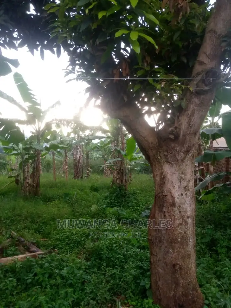 Plot for Sale at Wakiso