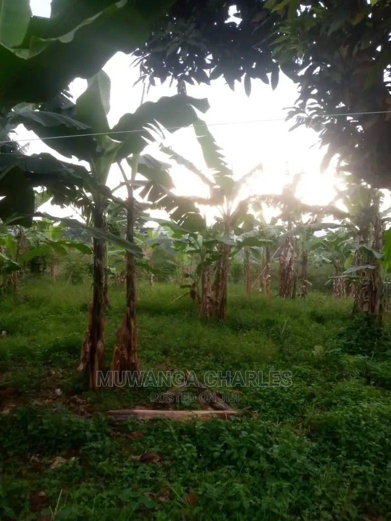 Plot for Sale at Wakiso
