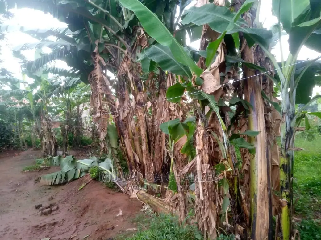 Plot for Sale at Wakiso